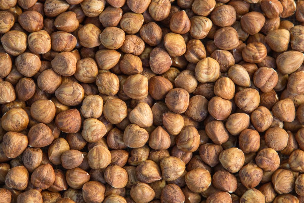 natural-hazelnut-kernels-e1564471380465.jpg